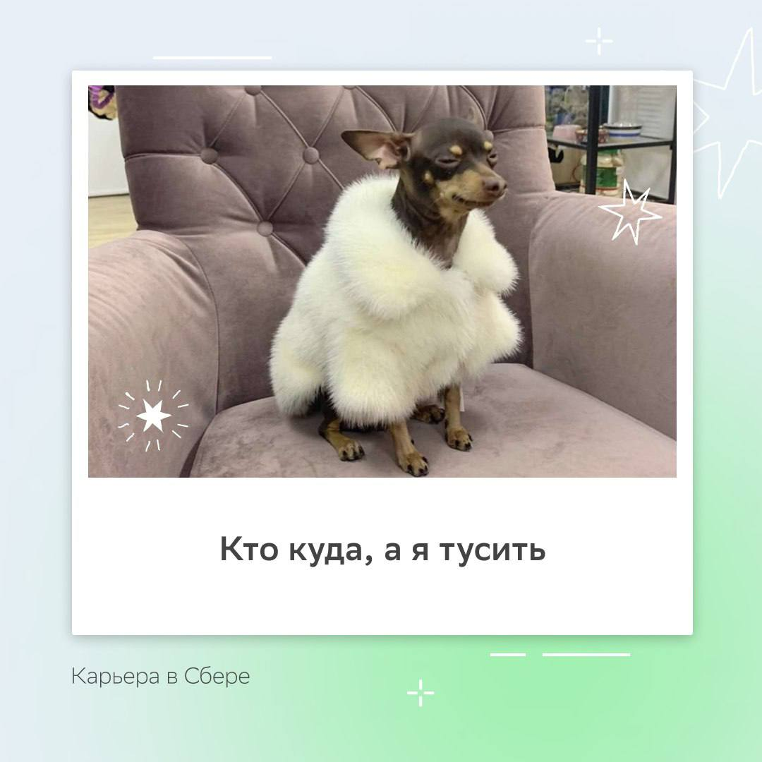 На старт, внимание, доедать прошлогодние салаты и искать себя в карточках марш!
Пиши в комментариях, кто ты на этих праздниках, и делись планами в комментариях. | Сетка — социальная сеть от hh.ru