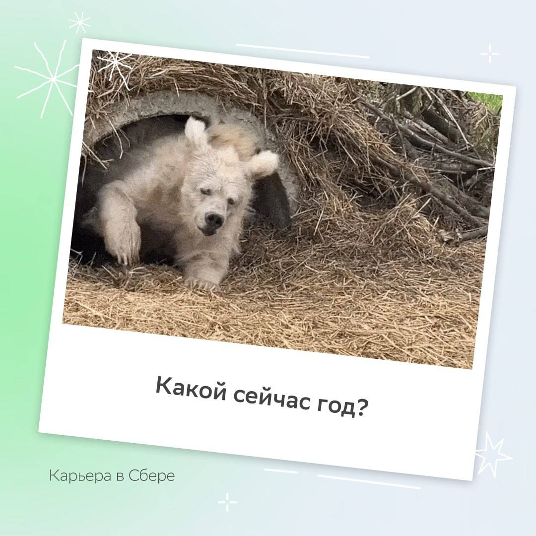 На старт, внимание, доедать прошлогодние салаты и искать себя в карточках марш!
Пиши в комментариях, кто ты на этих праздниках, и делись планами в комментариях. | Сетка — социальная сеть от hh.ru