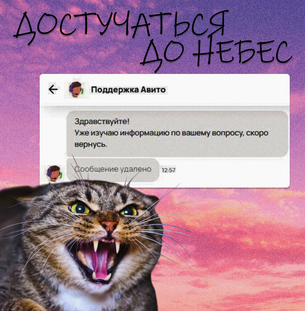 Как получить ответ от Авито Поддержкиℹ️ | Сетка — социальная сеть от hh.ru