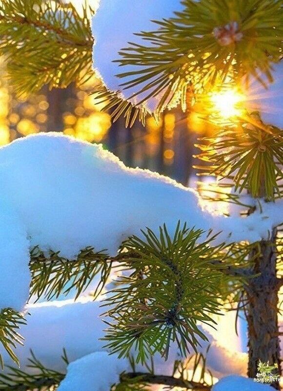 Доброе утро мои дорогие ❤️ Я желаю вам прекрасного выходного дня и отличного настроения ☀️ | Сетка — социальная сеть от hh.ru