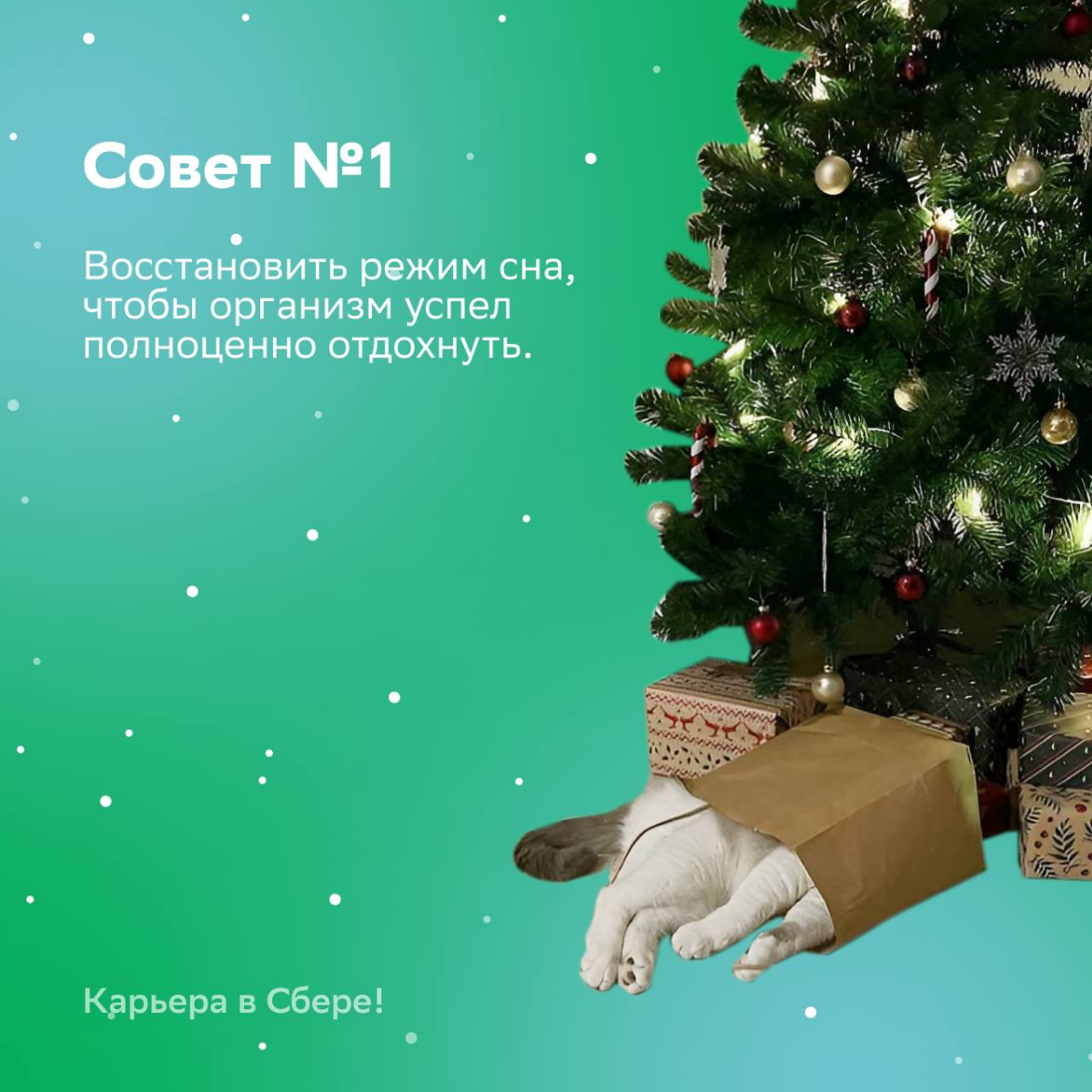 Работа хочет вместе провести новогодние праздники. Твоя реакция?
Чтобы не отвлекаться и получить максимум удовольствия от январских, читай советы от наших эйчаров! | Сетка — социальная сеть от hh.ru
