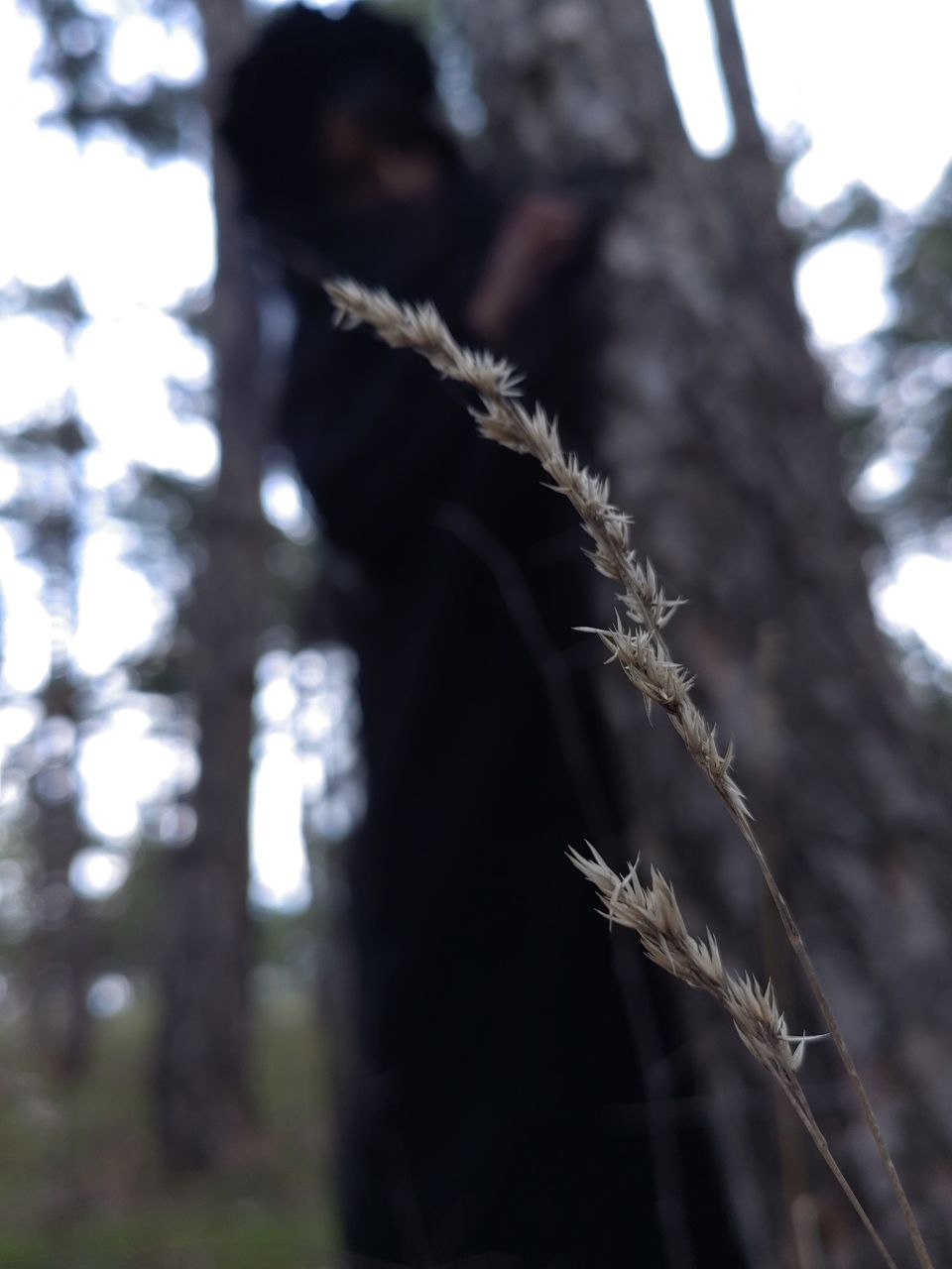 Я:
– Хочу фотосессию в лесу в готическом стиле, чтобы на ней была я, и чтобы фотка была красивой
Фотограф:
– Ни слова больше!
Это история о том, как важно правильно собирать у клиента тех. задание | Сетка — социальная сеть от hh.ru