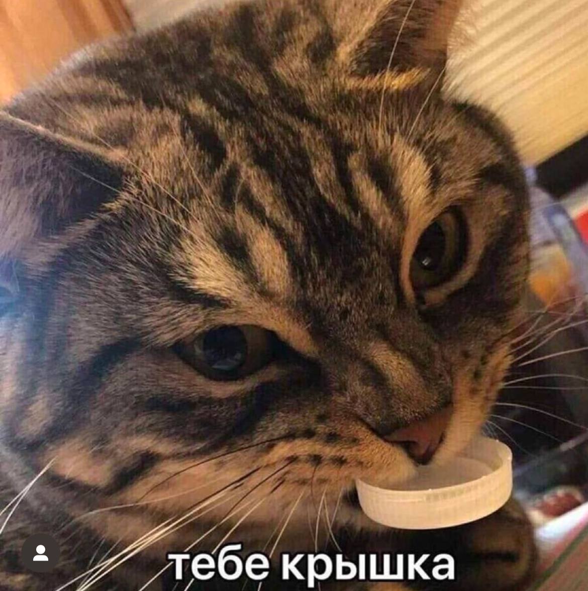 Мандарины победили 😢 | Сетка — социальная сеть от hh.ru