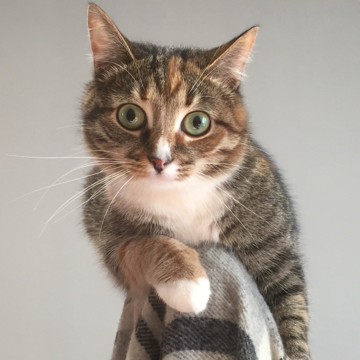 Андрей Спиридонов