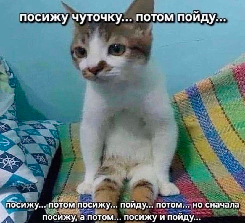 Один в один как я🤣. Признавайтесь, кто так же просыпается? | Сетка — социальная сеть от hh.ru