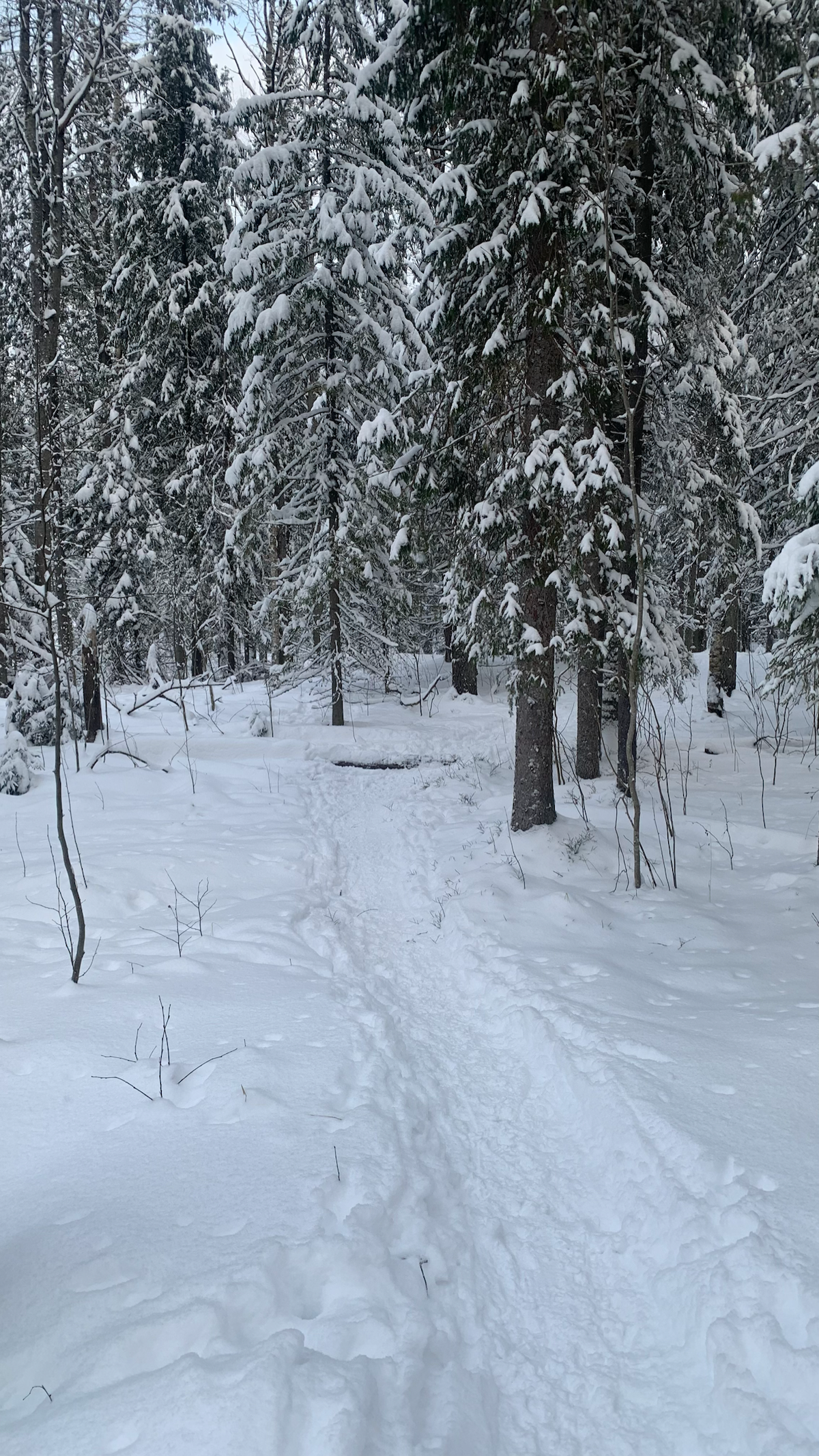 Walking in snow | Сетка — социальная сеть от hh.ru