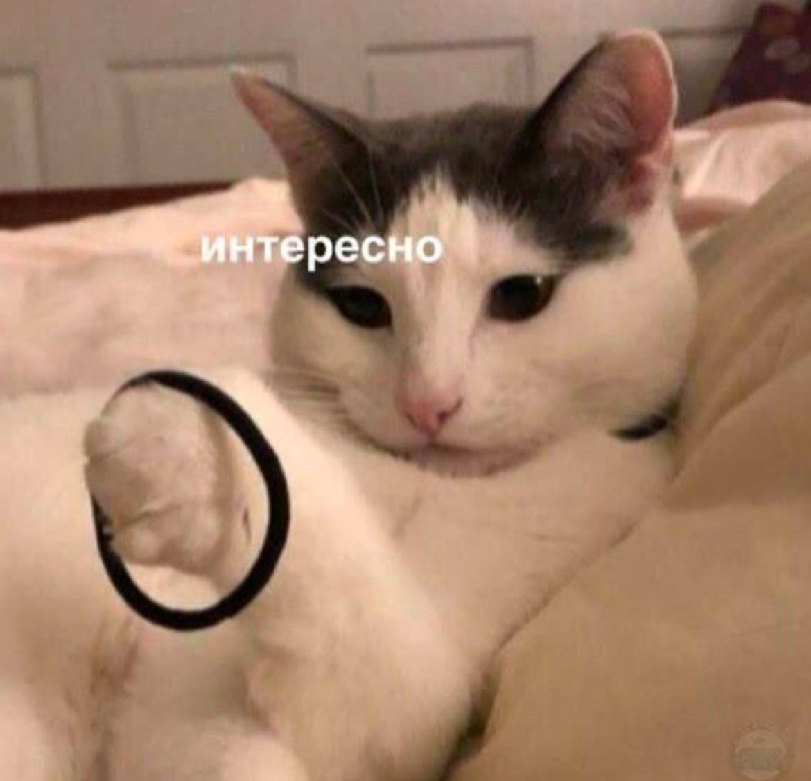 Это я 9 числа пытаюсь сделать что-то серьезное | Сетка — социальная сеть от hh.ru
