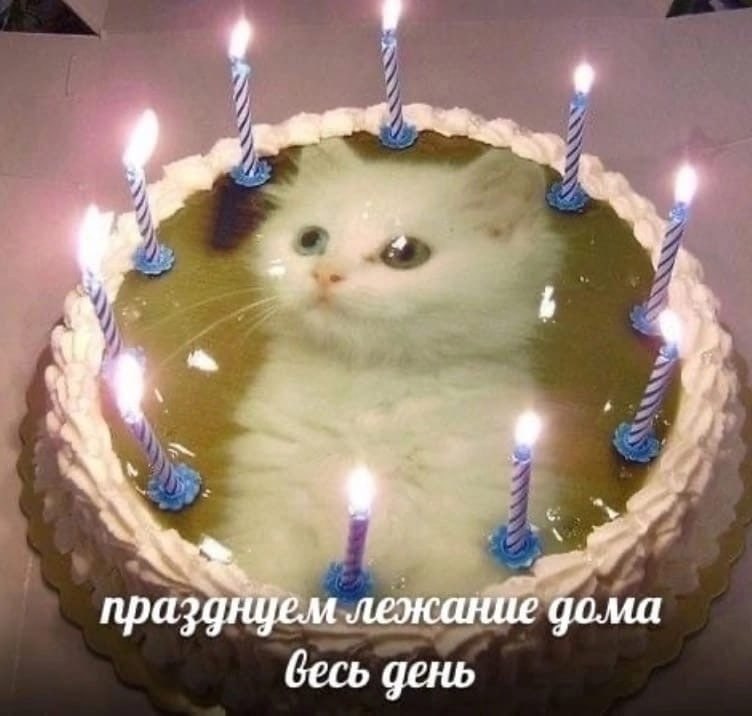 ➡️ отправь в телеге мем коллеге | Сетка — социальная сеть от hh.ru