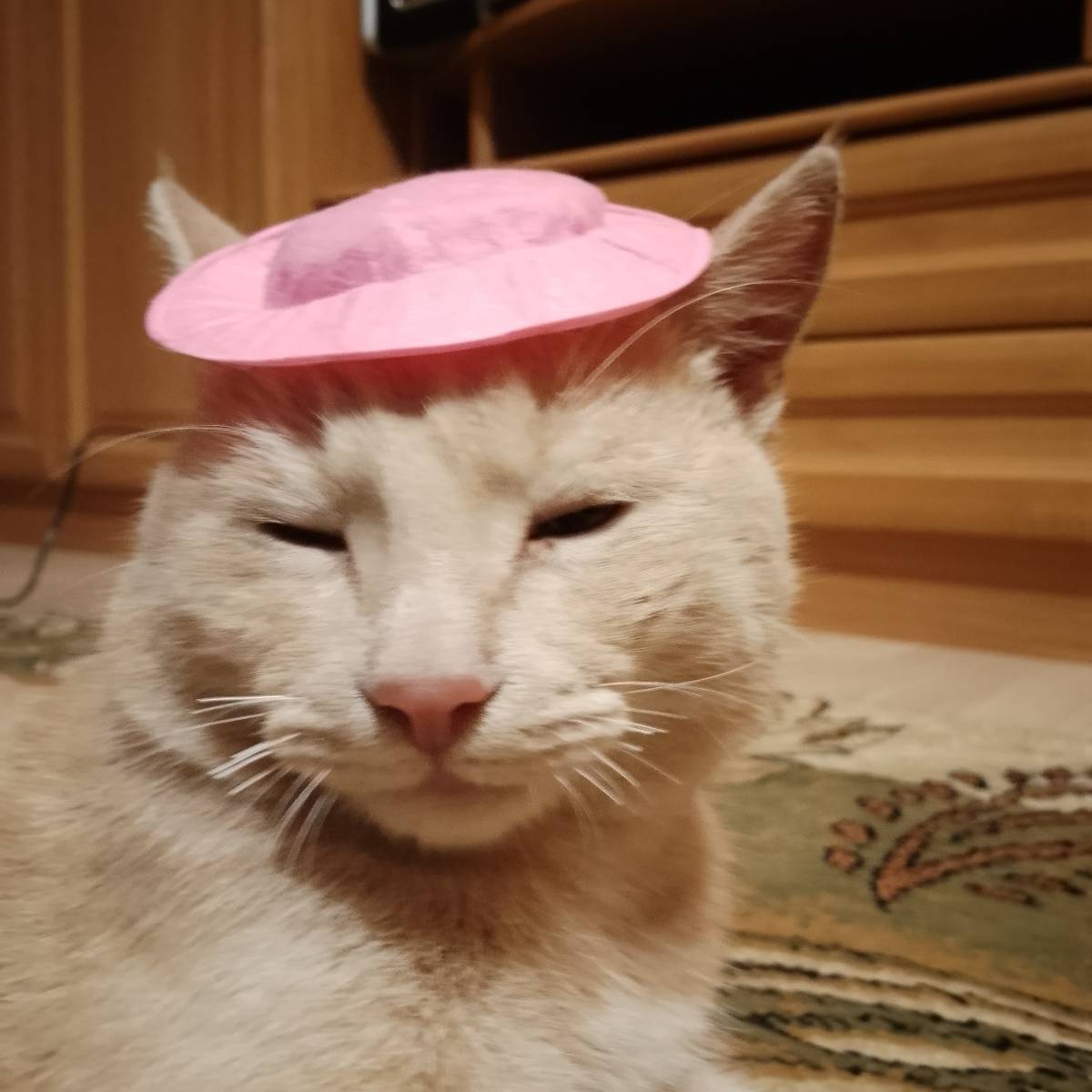 Андрей Монцов
