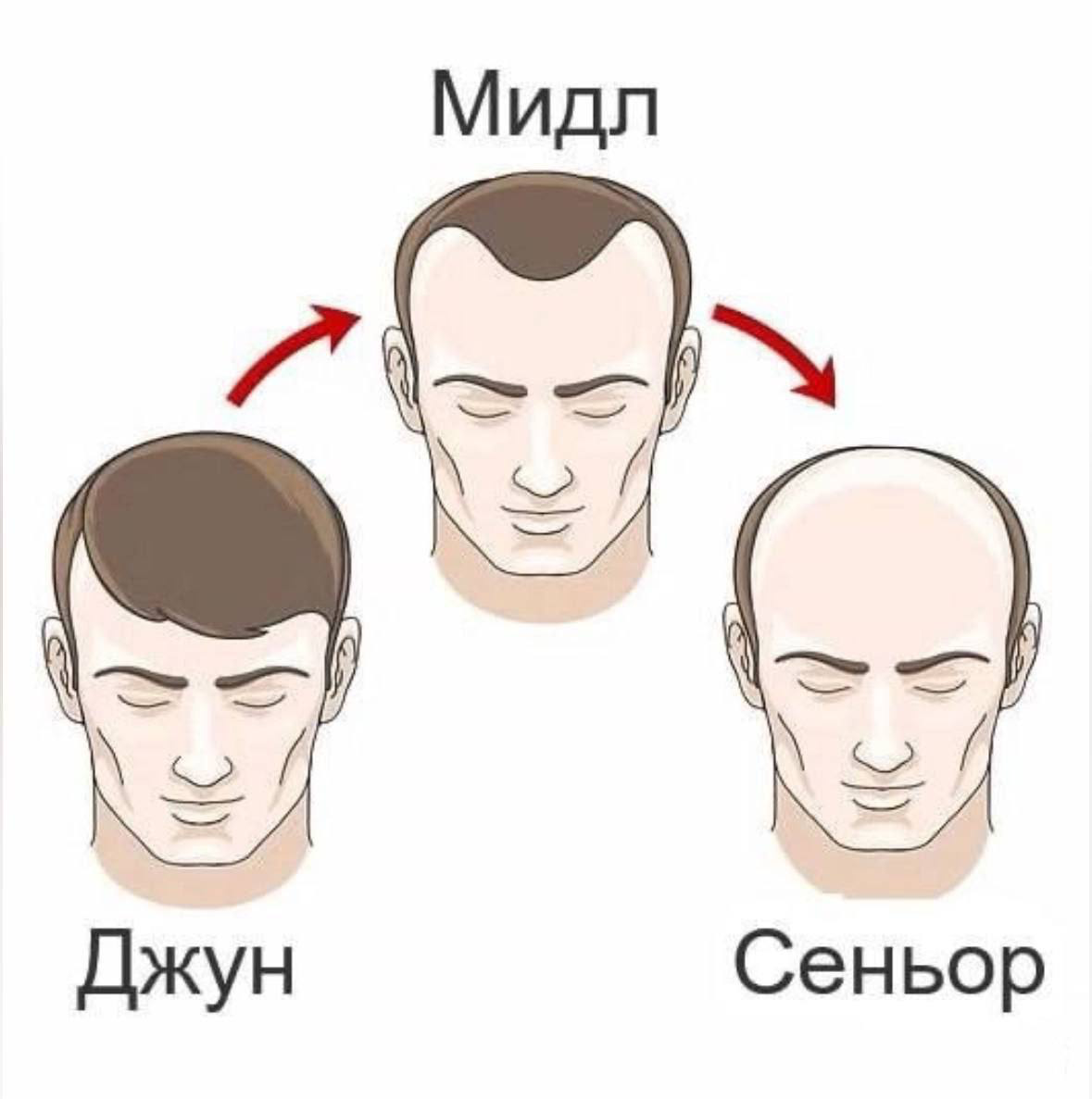 Почему в Data Science можно быстро вырасти? | Сетка — социальная сеть от hh.ru