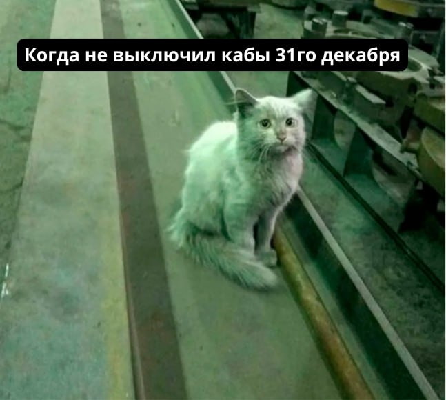 После праздничный Mood🫠
P.S. И такое бывает 😅
🔴 Subscribe | Сетка — социальная сеть от hh.ru