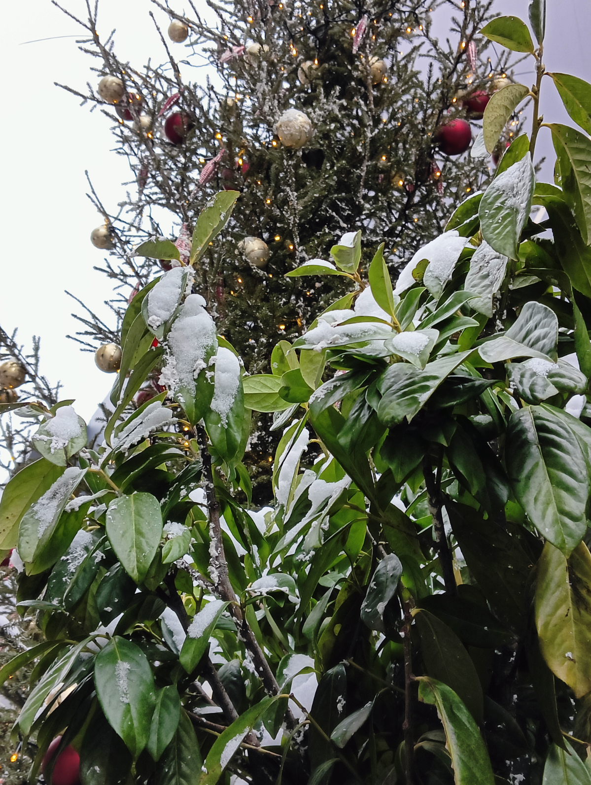 Одной из традиций меня и моих друзей является ежегодная поездка в Москву после нового года, в этот раз город был невероятно красиво украшен | Сетка — социальная сеть от hh.ru