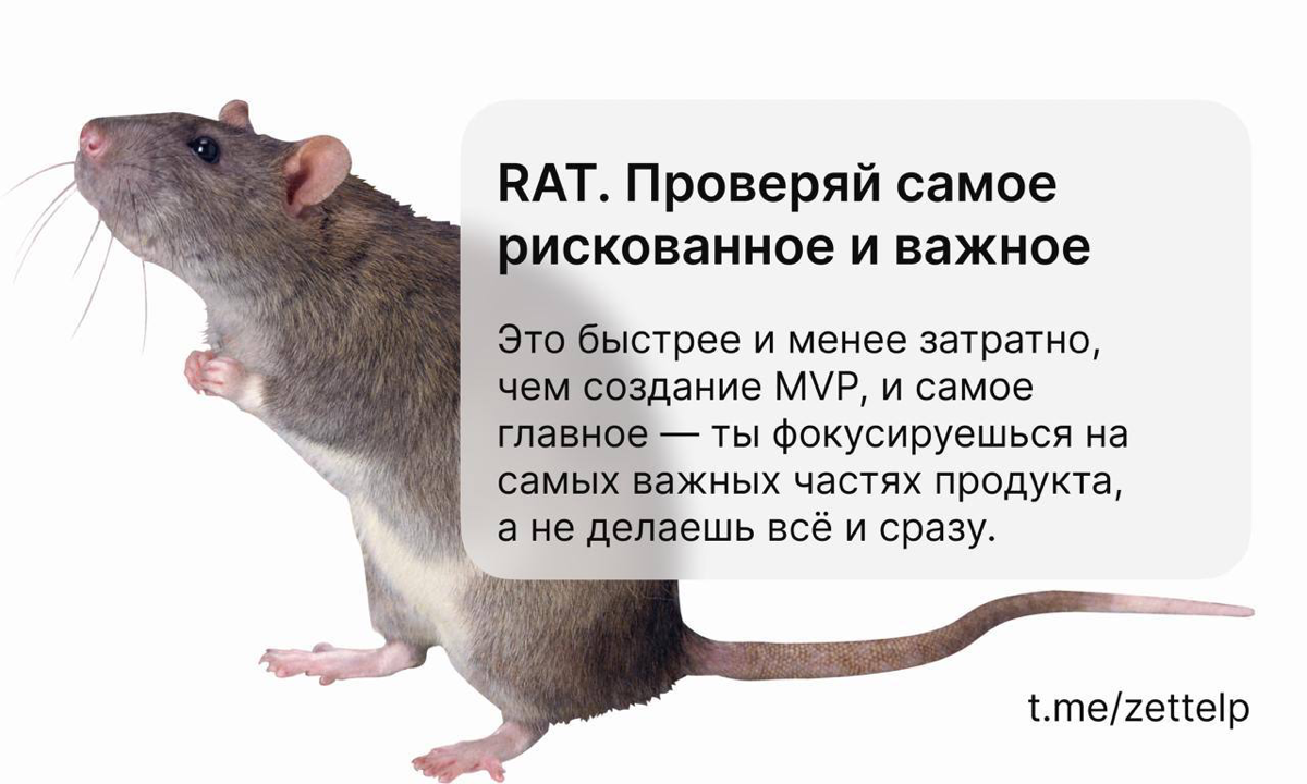 RAT. Проверяй самое рискованное и важное | Сетка — социальная сеть от hh.ru