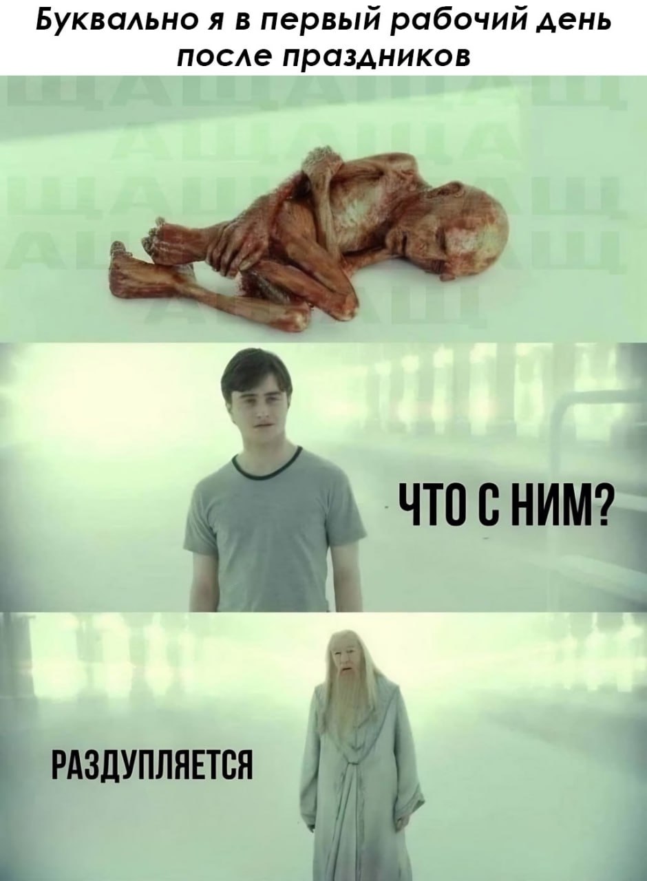 ➡️ отправь в телеге мем коллеге | Сетка — социальная сеть от hh.ru