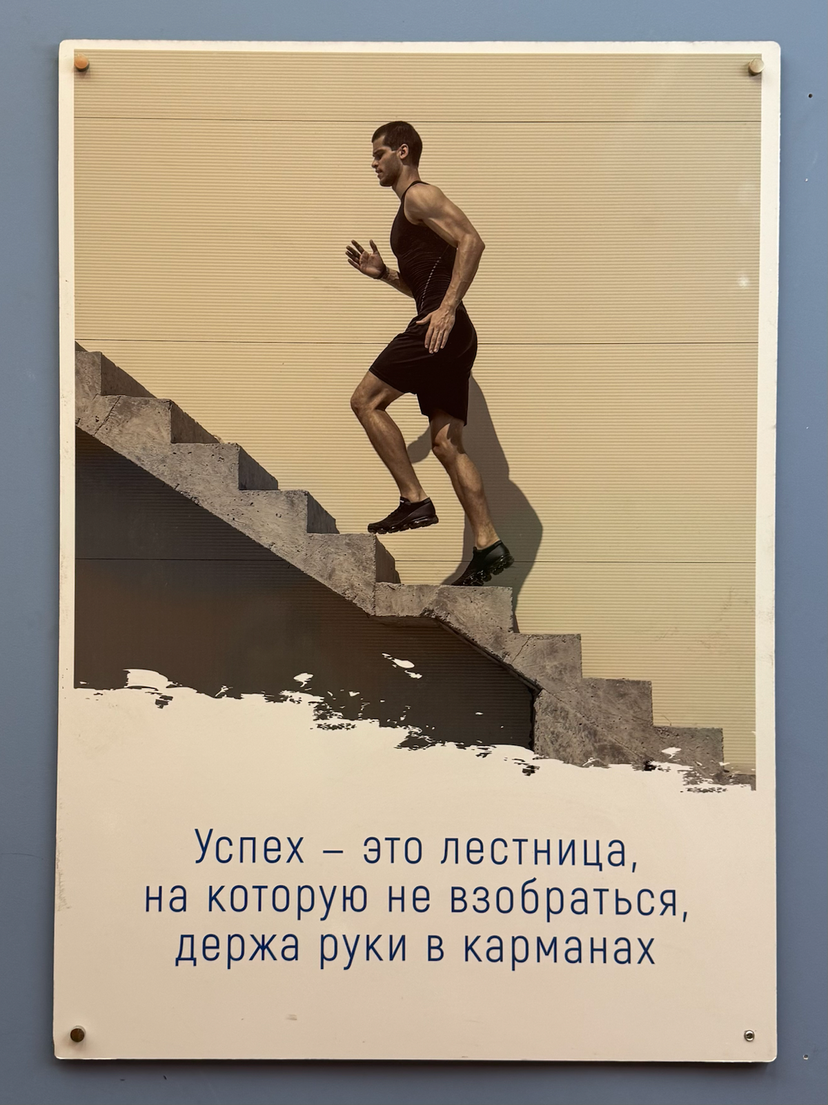 стоковые фото и брендинг
предлагаю угадать, какая компания повесила эти баннеры у входа? тут и мотивирующие цитаты, и красивые фото | Сетка — социальная сеть от hh.ru