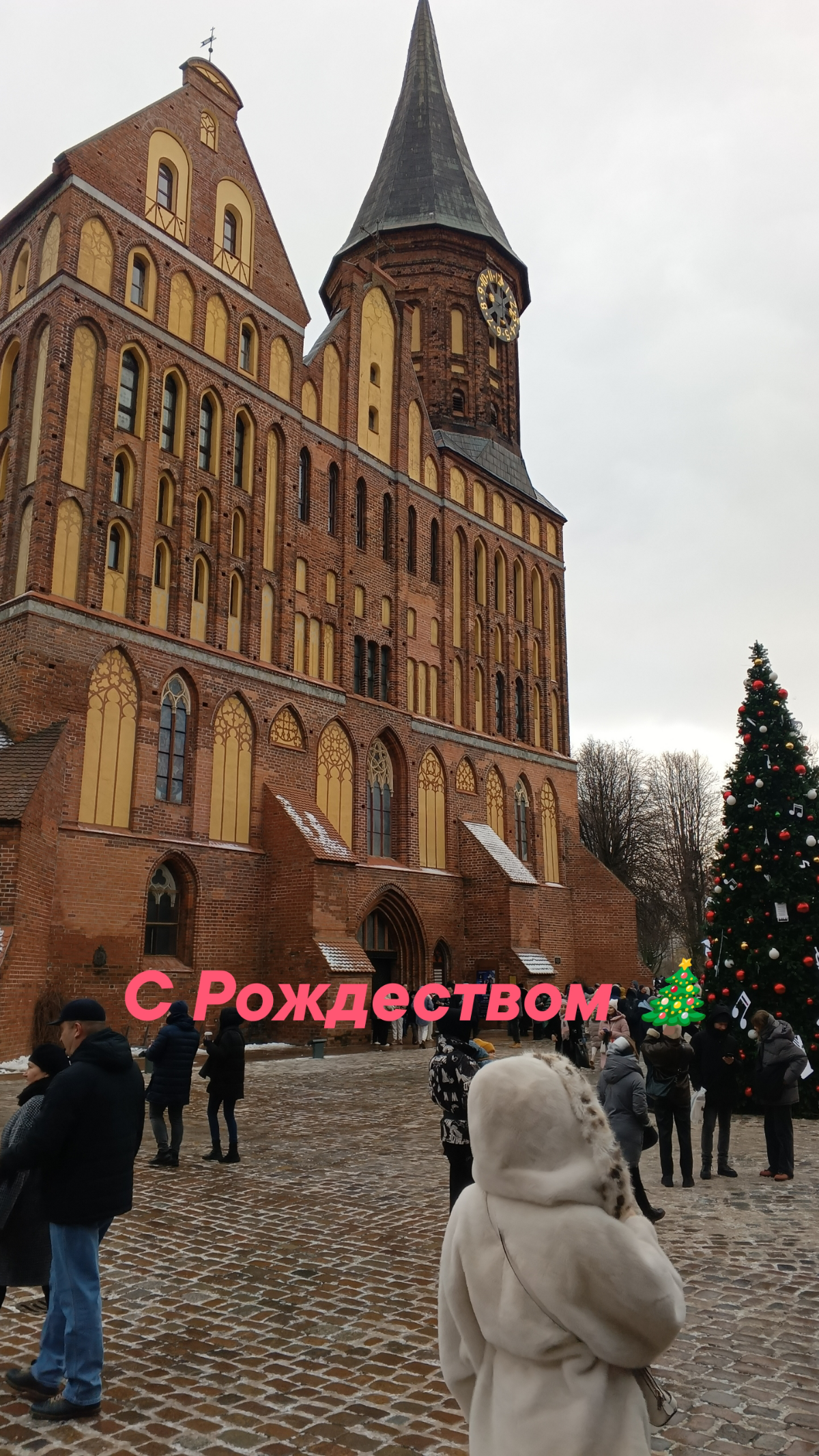 Поздравляю всех с Рождеством 🎄 немного Калининграда вам в ленту 🎁 | Сетка — социальная сеть от hh.ru