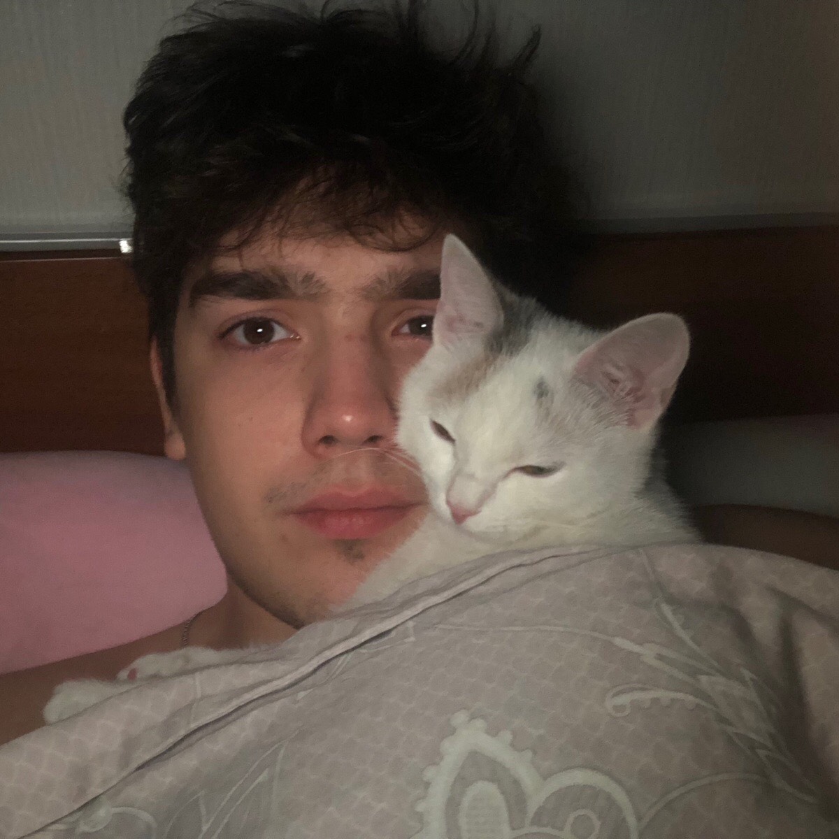 Роман Феоктистов | Сетка — социальная сеть от hh.ru