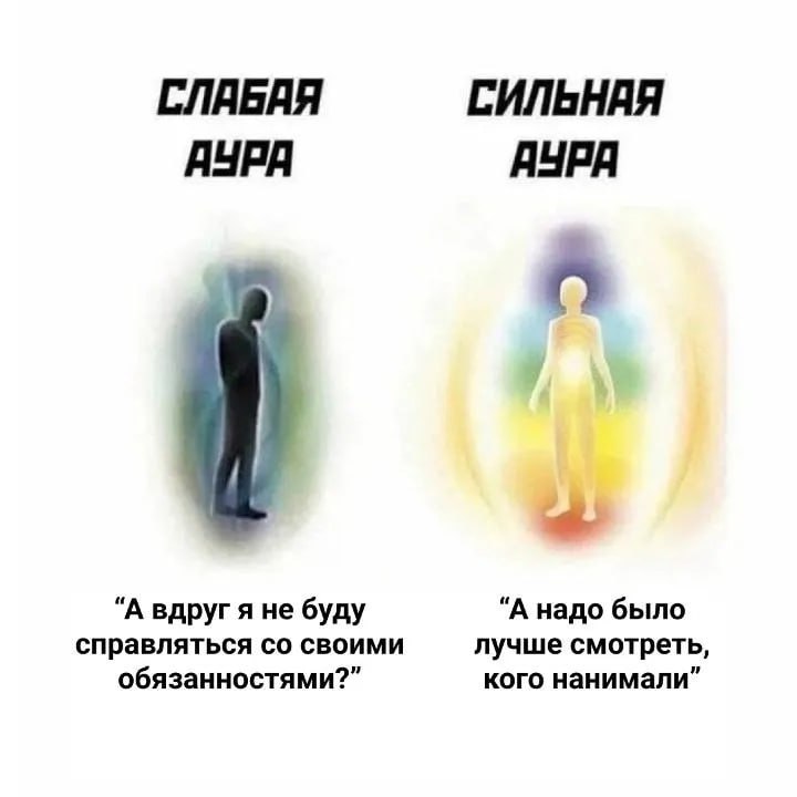 ➡️ отправь в телеге мем коллеге | Сетка — социальная сеть от hh.ru