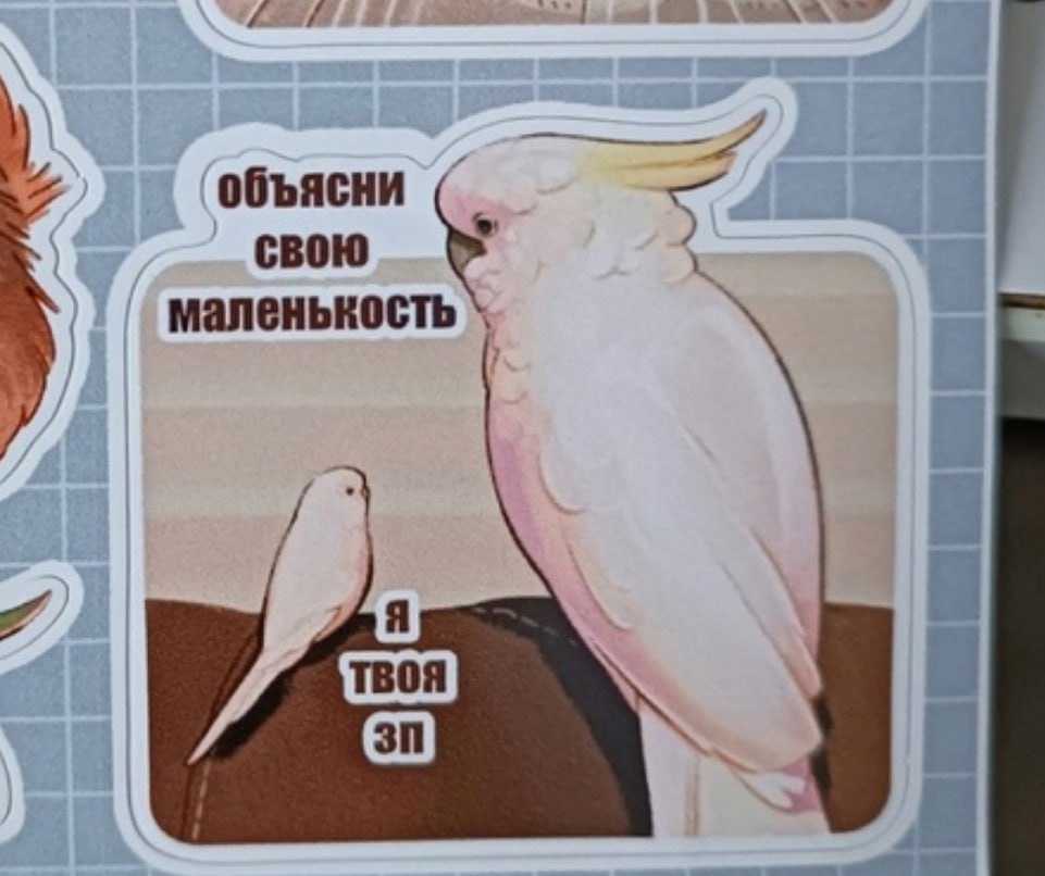 ➡️ отправь в телеге мем коллеге | Сетка — социальная сеть от hh.ru