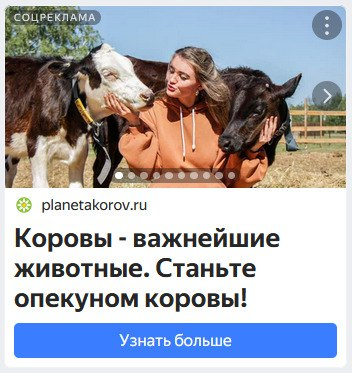 Опекунство вышло на новый уровень!
Так-то это всё хорошо и коровы - важнейшие животные | Сетка — социальная сеть от hh.ru