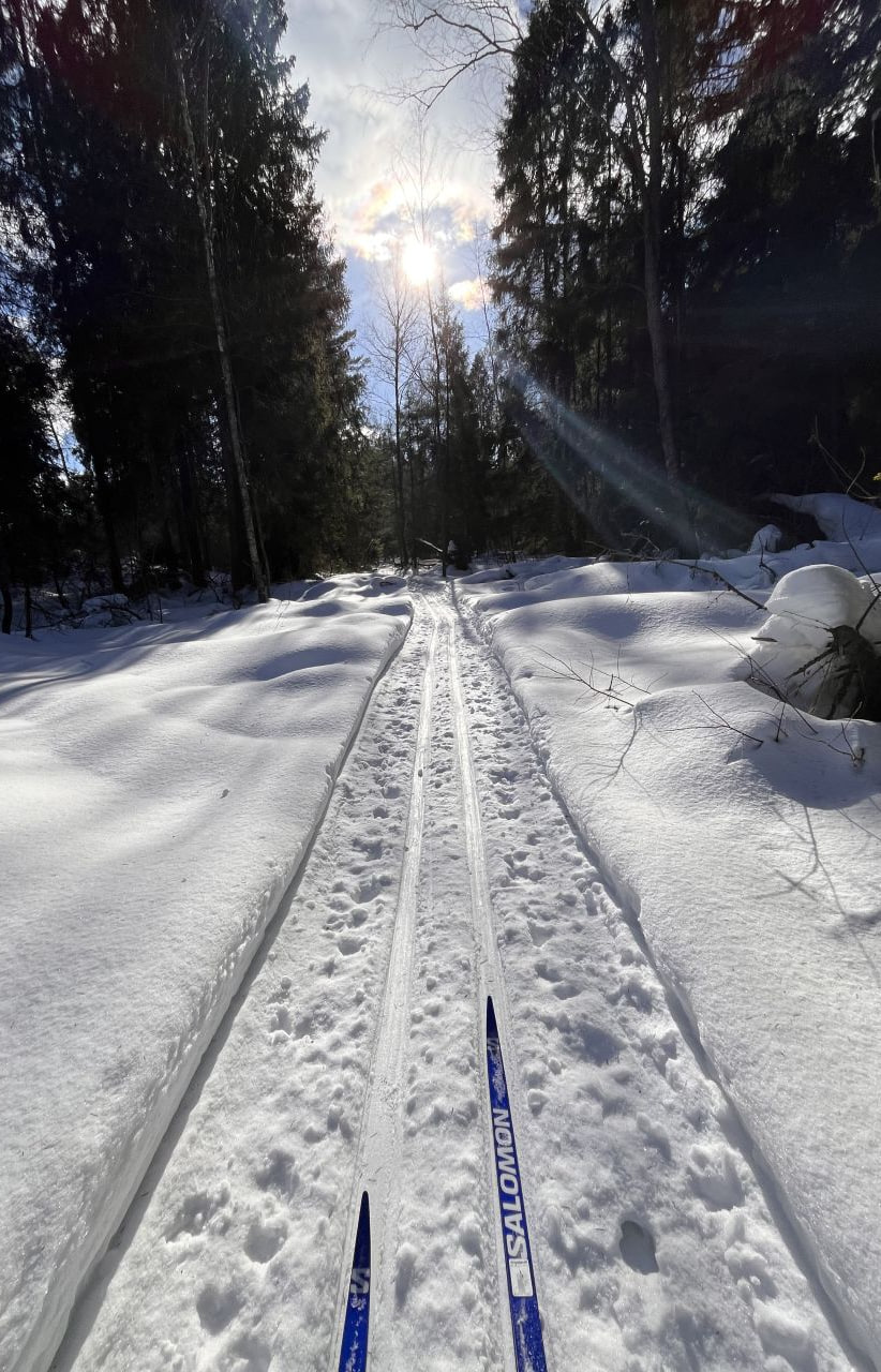 🎿Бесплатные тренировки по бегу на лыжах
Среда 19:00
Воскресенье 10:00
В столице открылось 15 лыжных трасс, где можно бесплатно позаниматься с тренером и освоить техники как классического, так и конько... | Сетка — социальная сеть от hh.ru