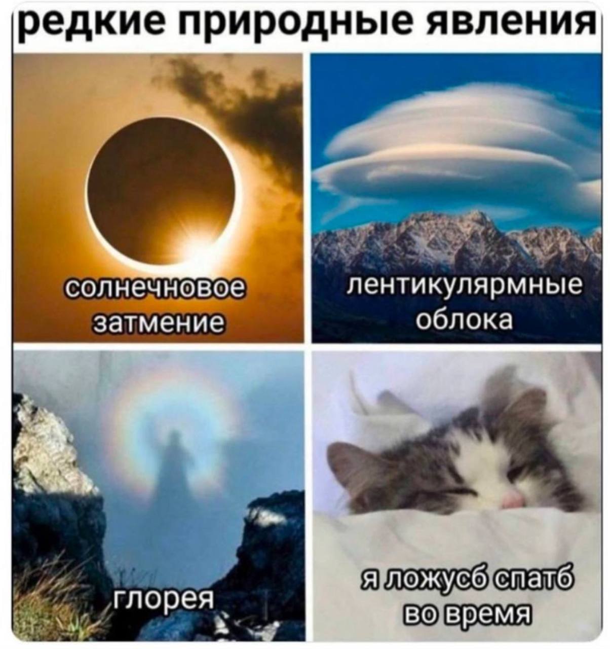 *Задание 3. Адекватное
Сон! Предлагаю сегодня лечь спать до 23:00.*
Понимаю, что задание очень сложное | Сетка — социальная сеть от hh.ru