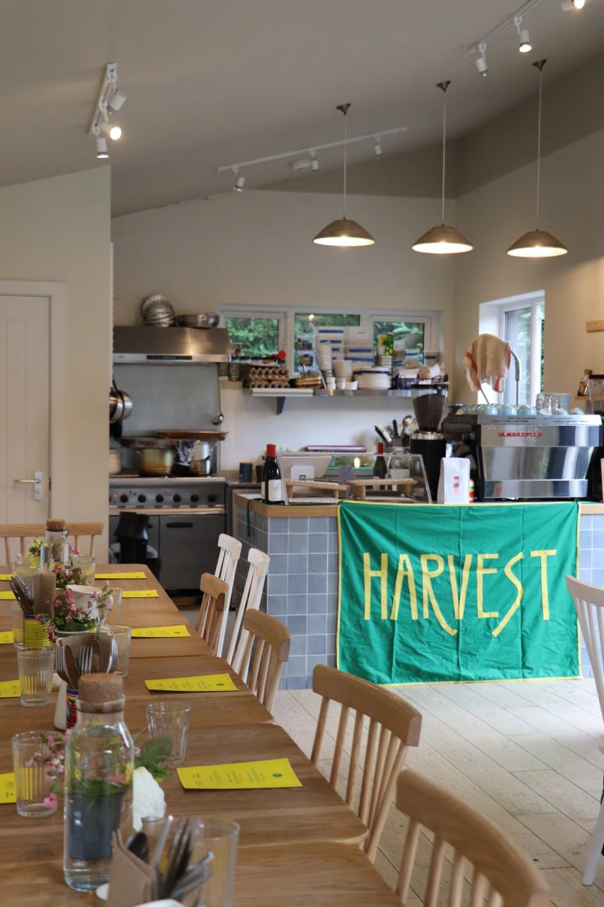 Фирменный стиль Harvest: яркие цвета, ризография и рукописный шрифт
Айдентика отражает главную миссию — превращать приемы пищи в значимые ритуалы.
The Bytheway | Сетка — социальная сеть от hh.ru