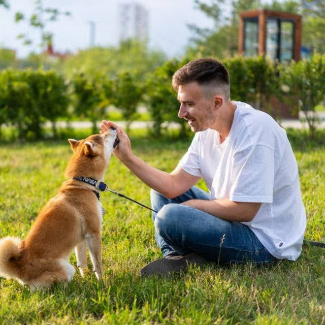 Всем привет 👋 С новым 2025 годом! Заклинаю, чтобы он был лучше предыдущего 💫✨
Я с декабря (уже предыдущего года 😯) начал вести профиль в Сетке | Сетка — социальная сеть от hh.ru