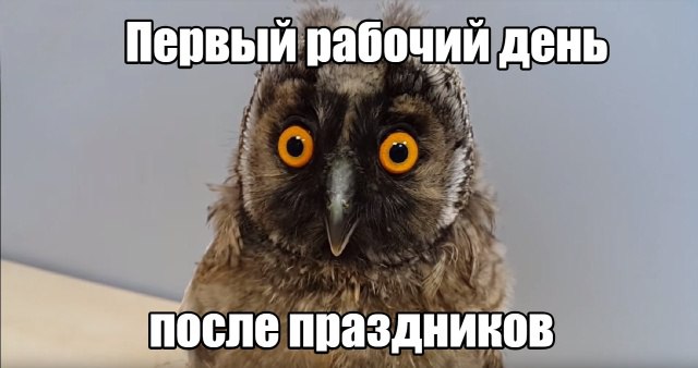 Привет, коллеги!
Поздравляем с первым рабочим днём ГОДА. И пусть это всего лишь дата, приятно перейти некий рубеж, обнулиться (хотя бы эмоционально) и начать движение с новыми силами | Сетка — социальная сеть от hh.ru