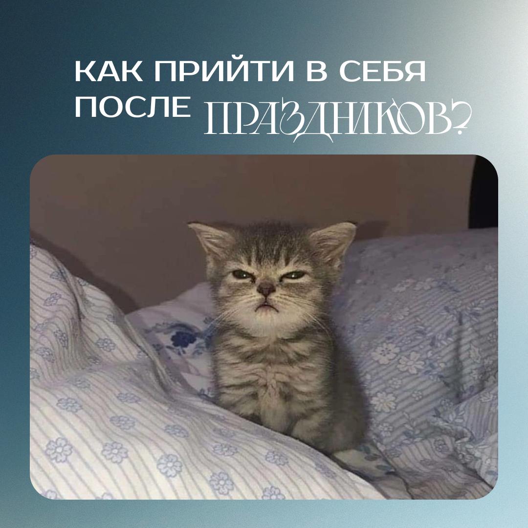 💡 Как быстро прийти в себя после новогодних праздников?
Спойлер: никак.
😌 Тупить, залипать в сериалы и медленно перестраиваться — абсолютно нормально | Сетка — социальная сеть от hh.ru