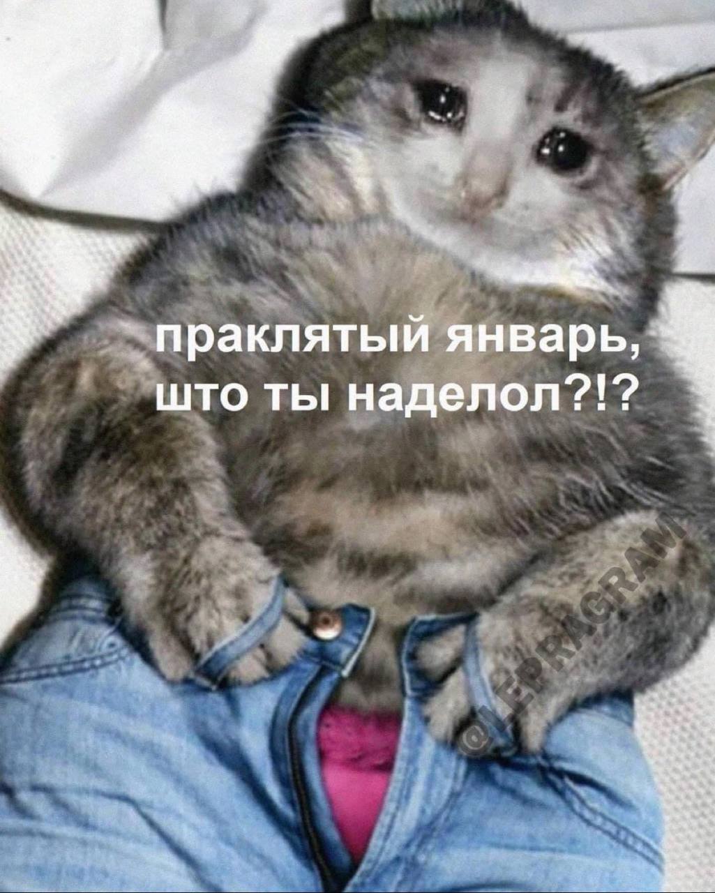 Ну как ваш первый рабочий в этом году?
У меня никак — на сегодня и завтра взяла отпуск.
Но как думаете, чем я занимаюсь прямо сейчас? 🖥
Ну конечно же работанькаю👨‍💻👨‍💻👨‍💻 | Сетка — социальная сеть от hh.ru