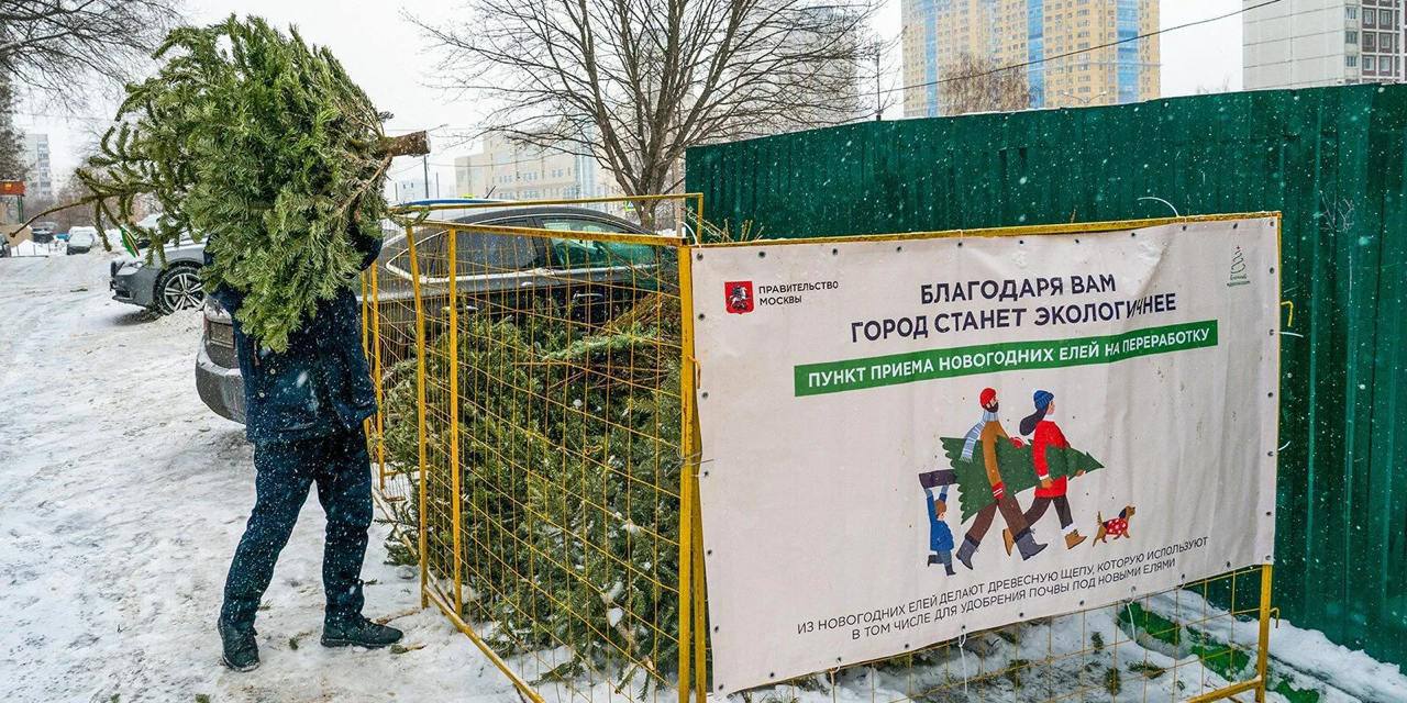 🎄В Москве проходит акция «Елочный круговорот»
Можно сдать новогоднюю елку на переработку в специальных пунктах по всему городу | Сетка — социальная сеть от hh.ru