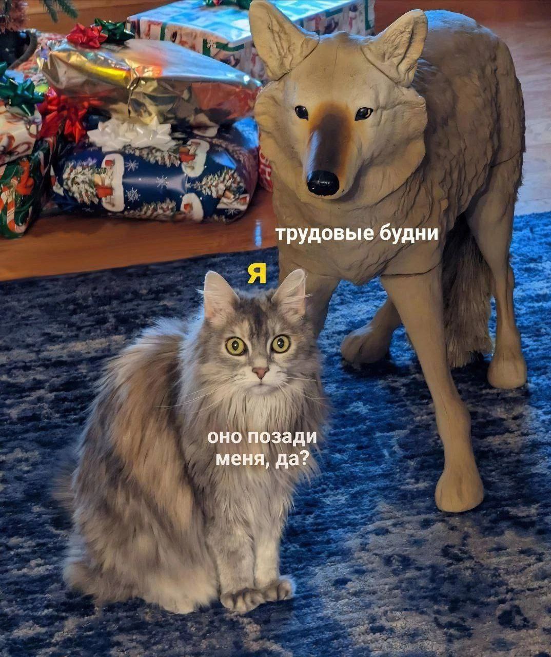 Ну штош... Начали))))) | Сетка — социальная сеть от hh.ru