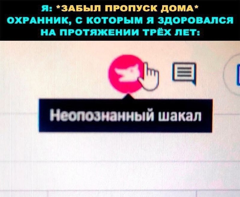 📊 KPI по мемам | Сетка — социальная сеть от hh.ru