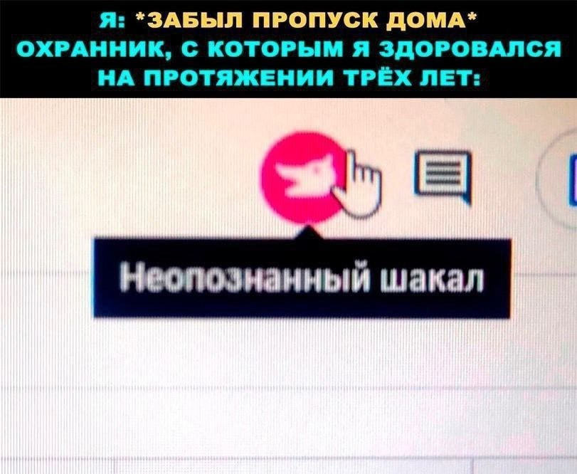 Уф, долго я искал пропуск после новогодних) | Сетка — социальная сеть от hh.ru