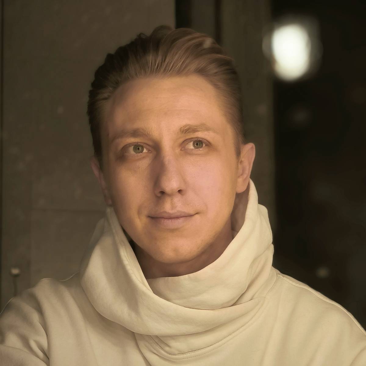 Дмитрий Шипицин