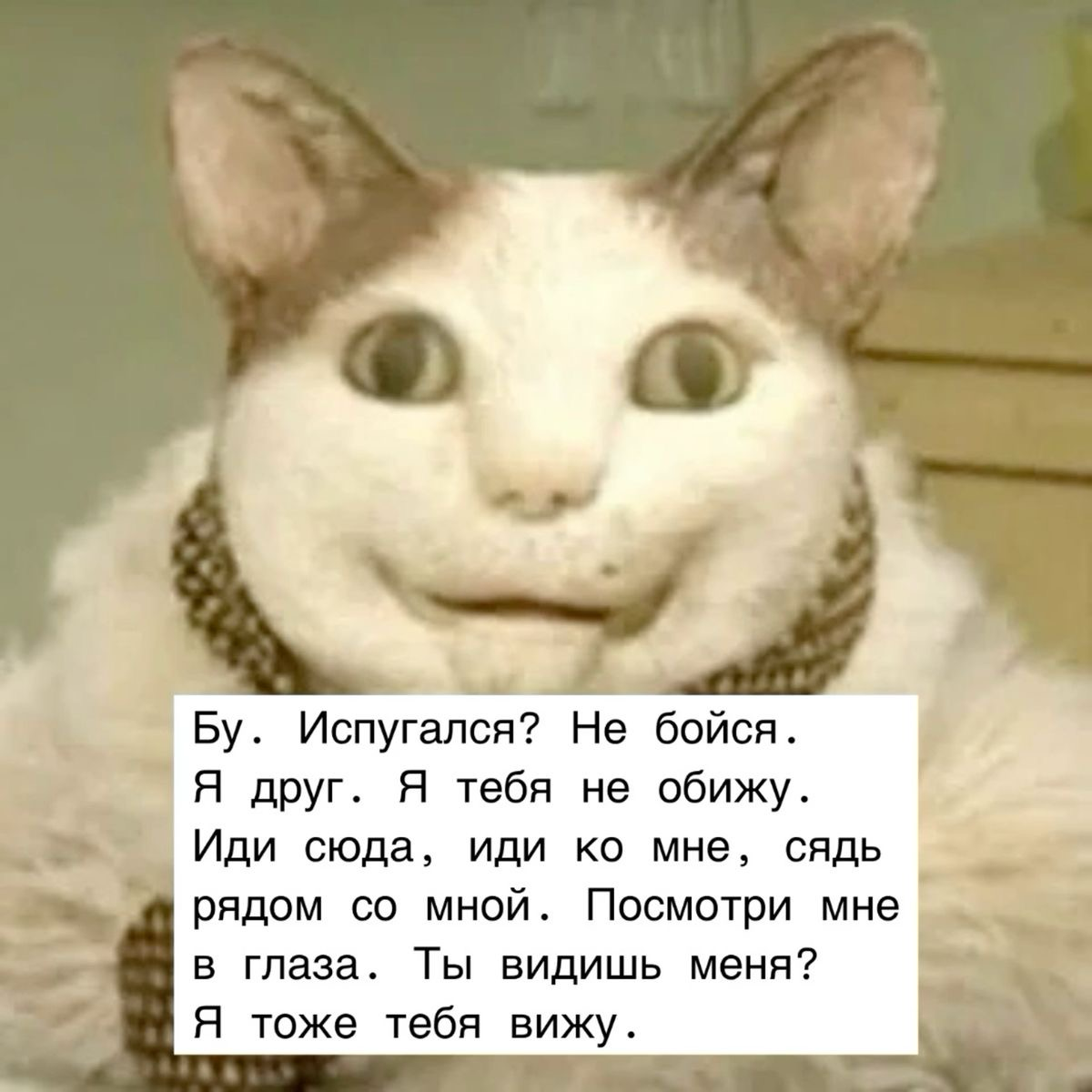 🎰 Бу! Испугался?
— закидываю первый пост, даже не много волнительно. Сетка резко начала появляться во всех социальных сетях и как-будто все только о ней и говорят. Чтож посмотрим, что это за зверик 🤍🎀 | Сетка — социальная сеть от hh.ru