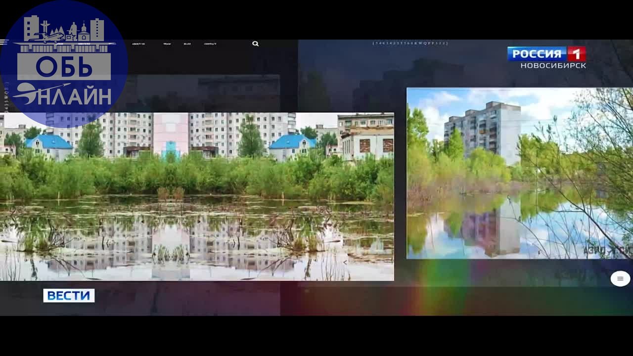 ↗ Заброшенную территорию в городе Оби превратили в экопарк. Открытие такого пространства жители города ждали несколько десятков лет | Сетка — социальная сеть от hh.ru