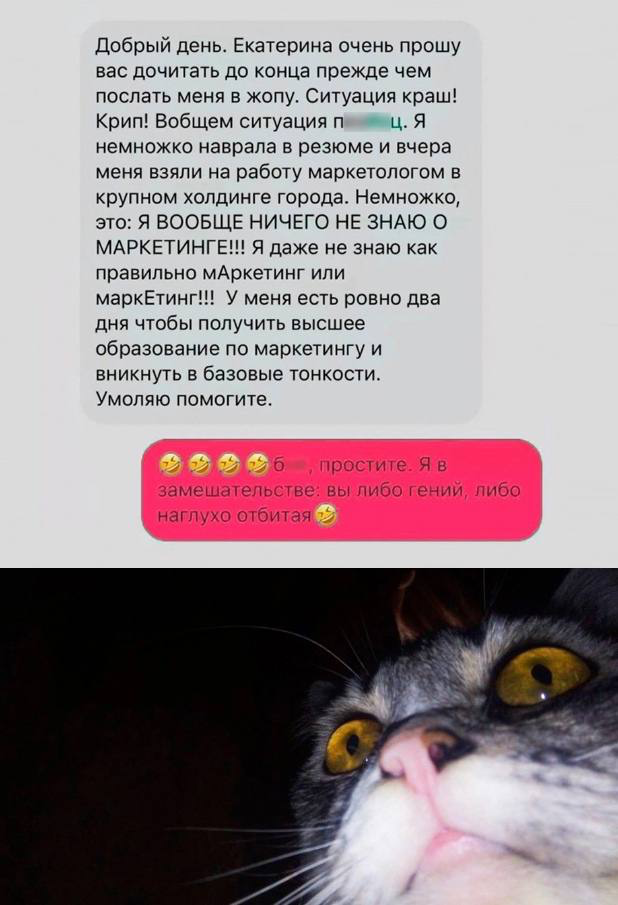 #пятничное
#career | Сетка — социальная сеть от hh.ru