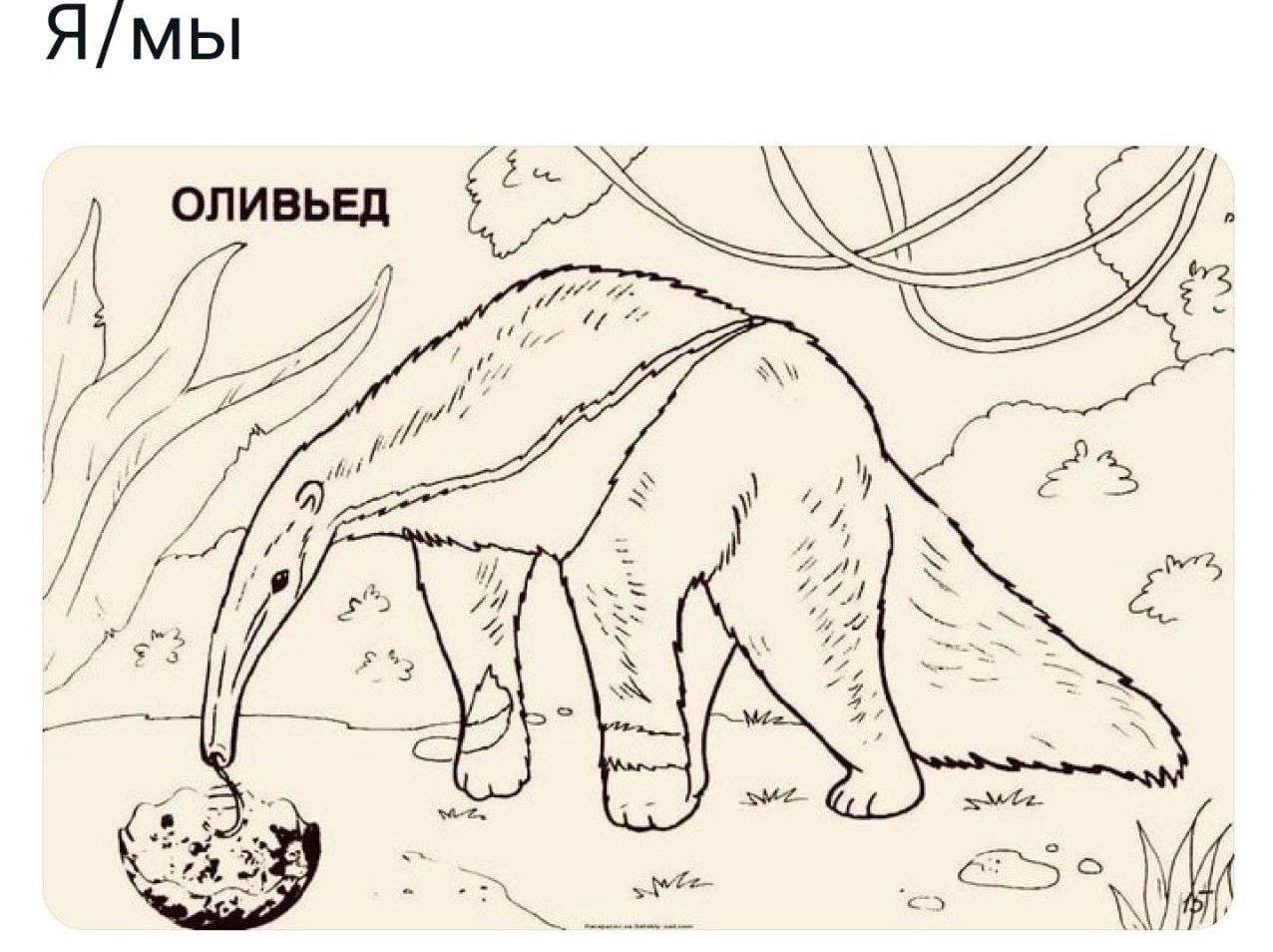 ⚡️Сегодня первая рабочая пятница 2025, а это значит пора обмениваться мемами! Куда без них в эту самую сложную двухдневную неделю! 
Запускаю карусель мемов с актуального постпраздничного🍾
Публикуй мем... | Сетка — социальная сеть от hh.ru