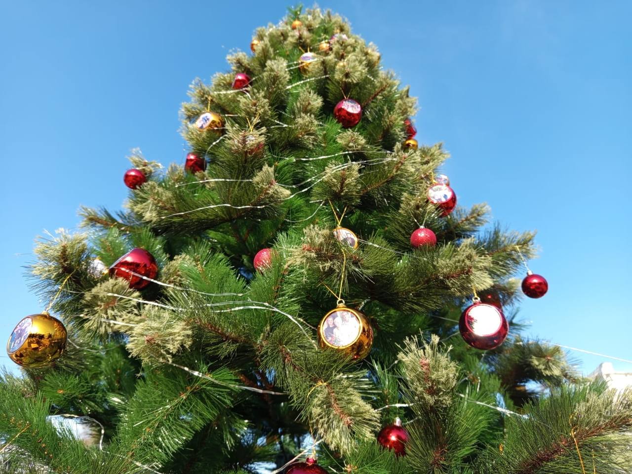 Ну какова красота!🎄
Наша Кисловодская ёлка добрых дел прошла в финал Всероссийского конкурса «Ёлки России-2024» | Сетка — социальная сеть от hh.ru