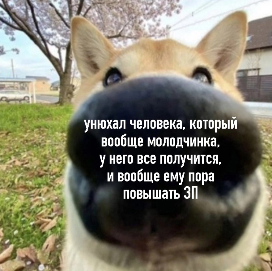Ну что, коллеги, январь – время осуществлять свои профессиональные мечты.
Если прямо сейчас ты хочешь сменить работу, то у меня есть для тебя крутые вакансии | Сетка — социальная сеть от hh.ru