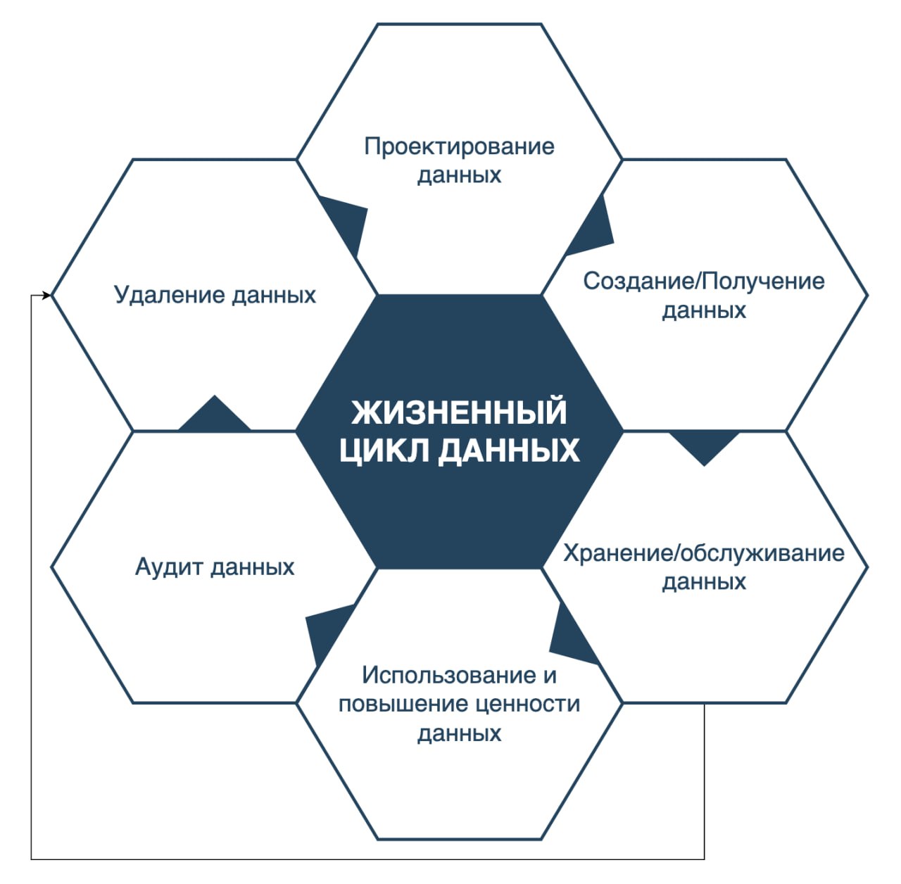 Всем привет! А как вы видите жизненный цикл данных? 🌀 У вас есть другие этапы ЖЦ? Какие практики применяете на различных этапах? Если интересно, какие применяем мы, ставьте реакцию на этот пост, и мы ... | Сетка — социальная сеть от hh.ru