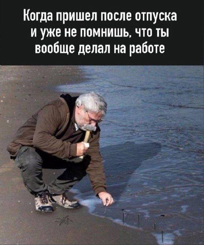 Поздравляем с началом нового рабочего года😁 | Сетка — социальная сеть от hh.ru