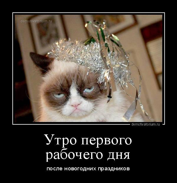 Поздравляем с началом нового рабочего года😁 | Сетка — социальная сеть от hh.ru