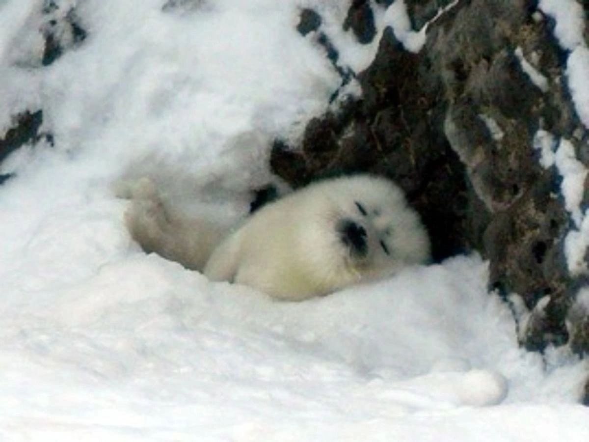 #фифоффтоп 
Так я провела эти каникулы. Ни о чем не жалею 😁
2 рабочих дня прошли примерно так же, кстати | Сетка — социальная сеть от hh.ru