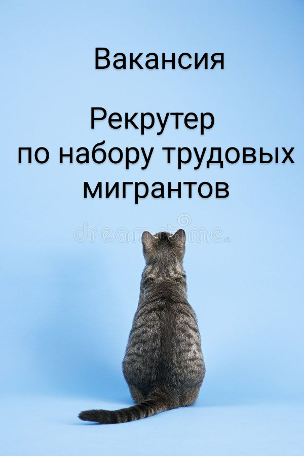 #вакансия #Рекрутер по набору трудовых мигрантов в крупный производственный холдинг (г | Сетка — социальная сеть от hh.ru
