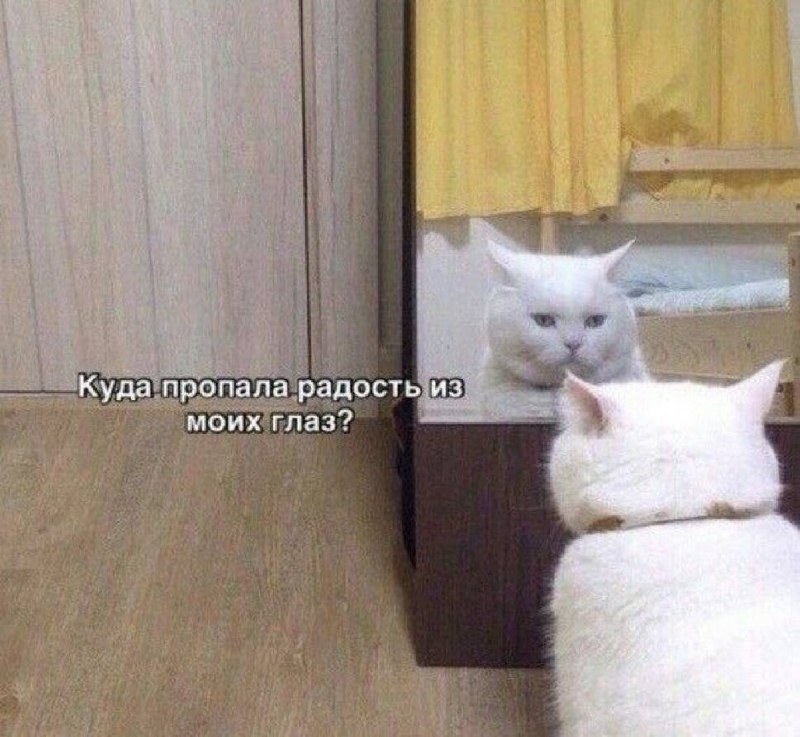 У меня тут картинки накопились
Забирайте, если надо
Если не надо, просто ставьте смайлик | Сетка — социальная сеть от hh.ru