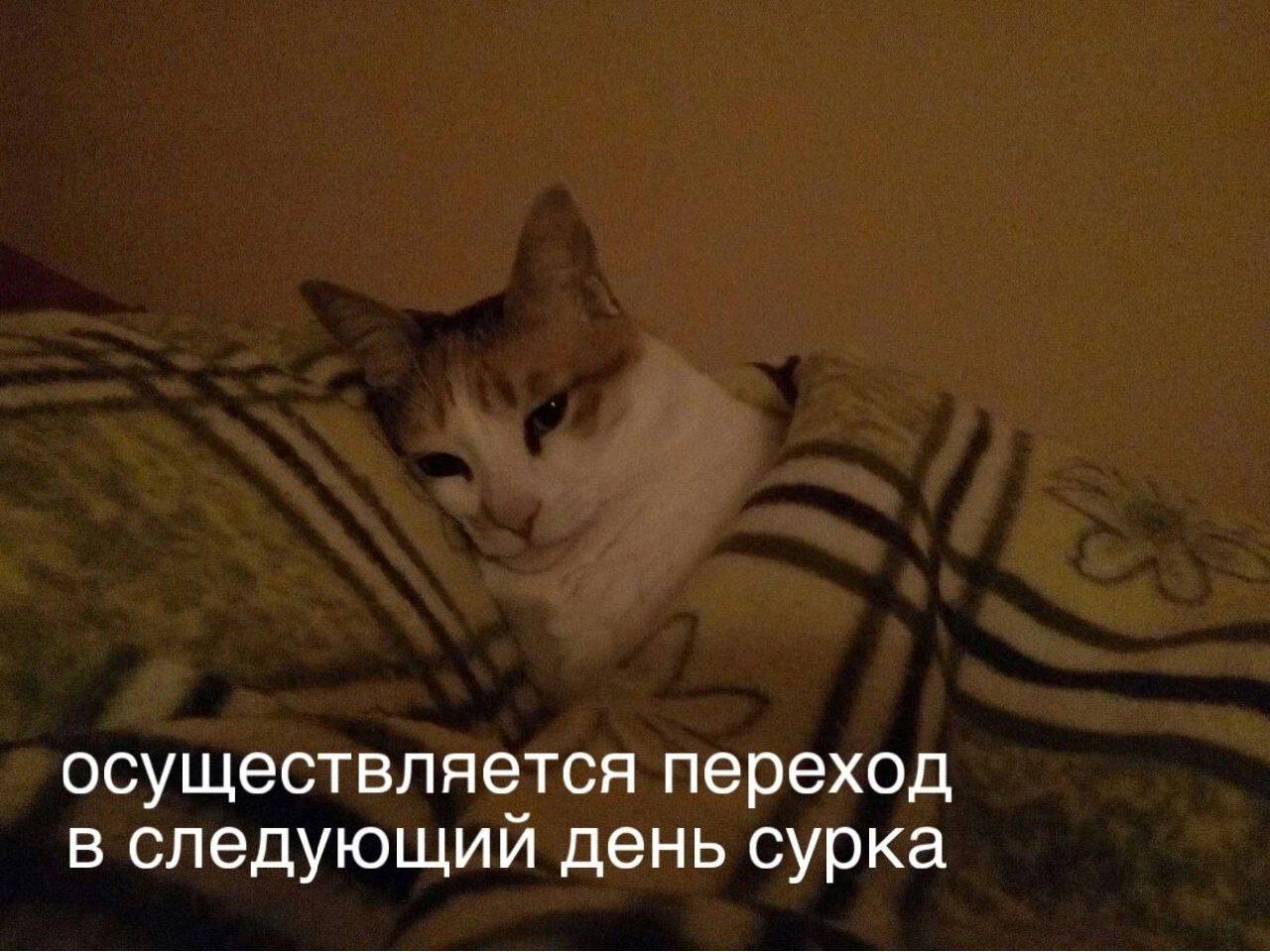 У меня тут картинки накопились
Забирайте, если надо
Если не надо, просто ставьте смайлик | Сетка — социальная сеть от hh.ru