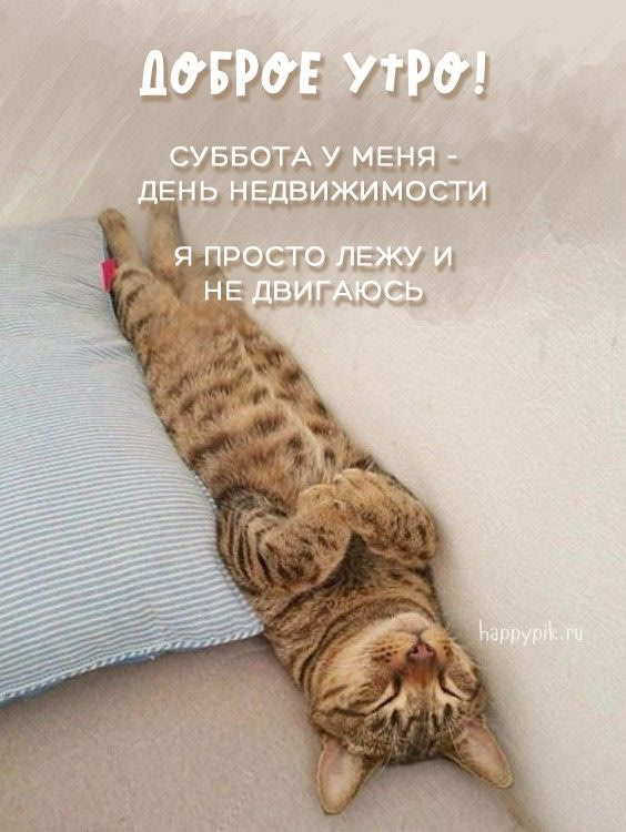 #отчёт за 09.01.25
Про Swagger: легче написать самому при текущих "умениях". Что я и сделал в четверг.
В пятницу был оффлайн. Как я рассказывал ранее нас затопили маргиналы через этаж | Сетка — социальная сеть от hh.ru